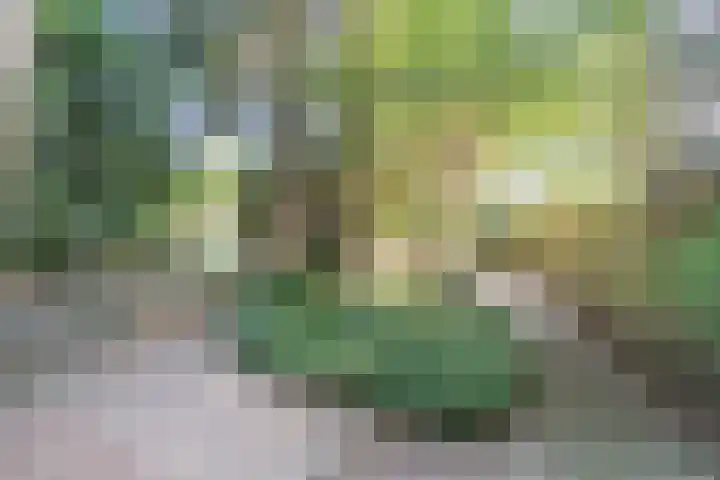 Kanaalstraat 3 Dongen thumbnail 43