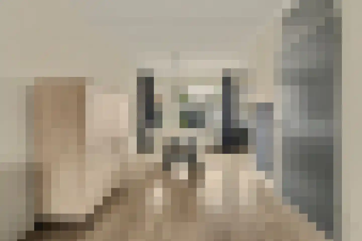 Kanaalstraat 32 Hansweert thumbnail 7