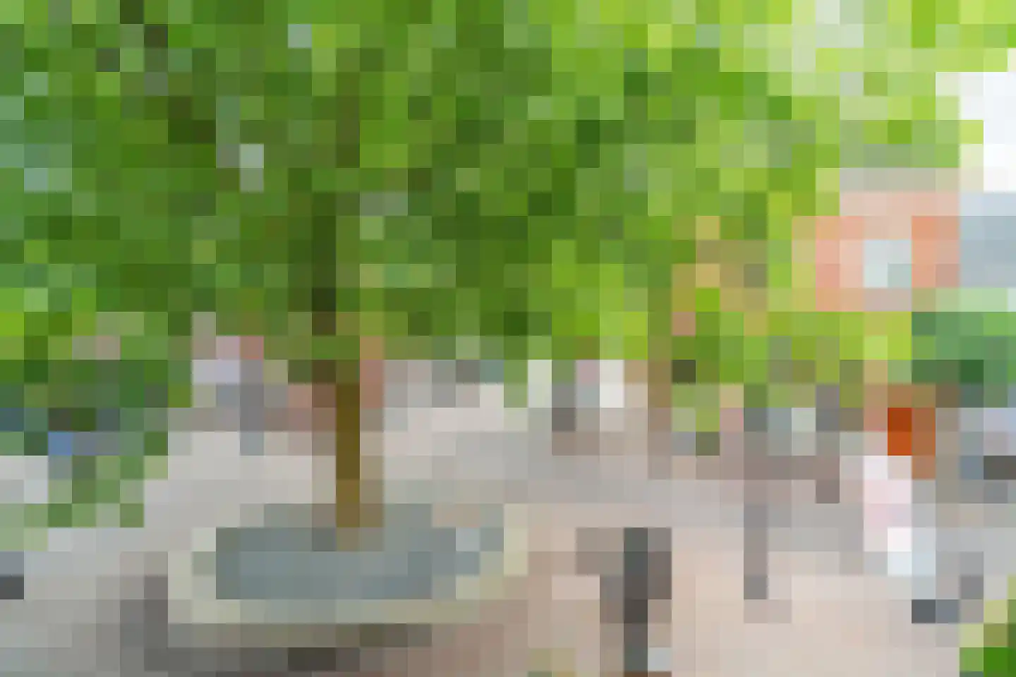 Kanaalstraat 39 B Lisse thumbnail 40