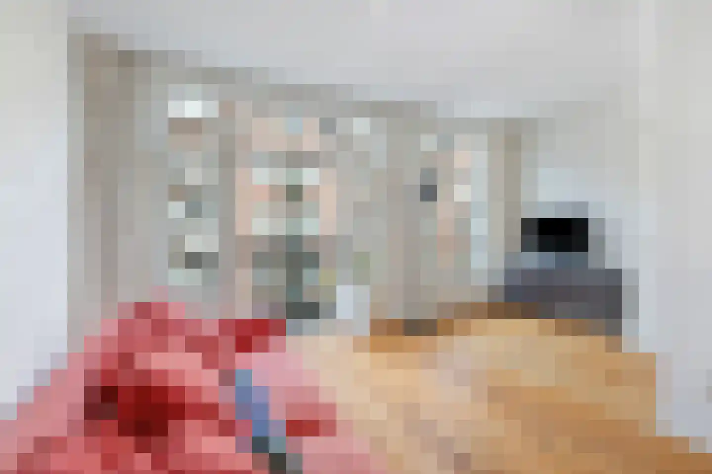 Kanaalstraat 43 2 Amsterdam thumbnail 4