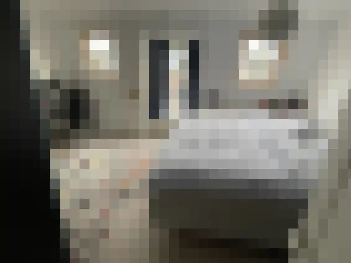 Kanaalstraat 44 Amsterdam thumbnail 6