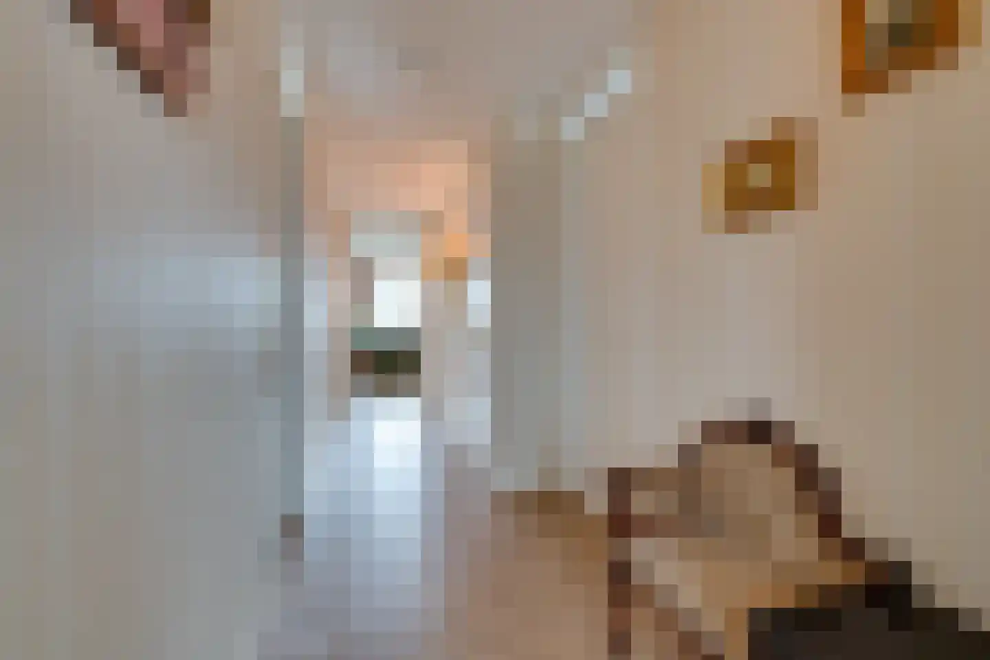 Kanaalstraat 47 Purmerend thumbnail 12