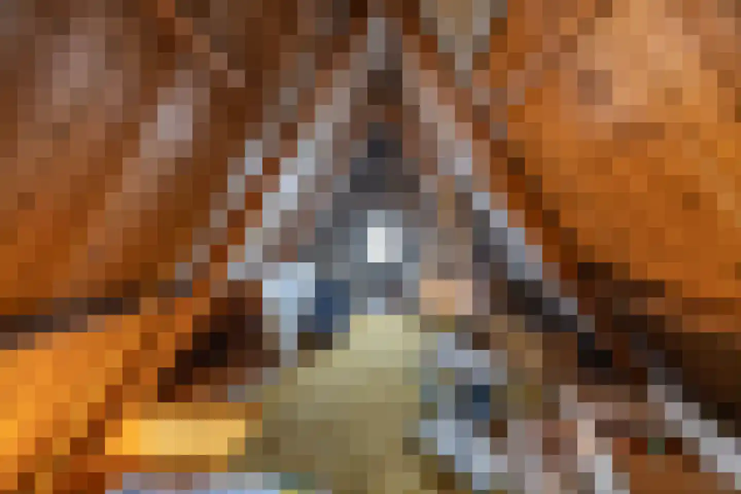 Kanaalstraat 48 Roden thumbnail 41