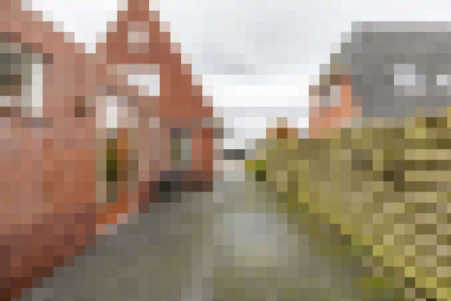Kanaalstraat 48 Roden thumbnail 43