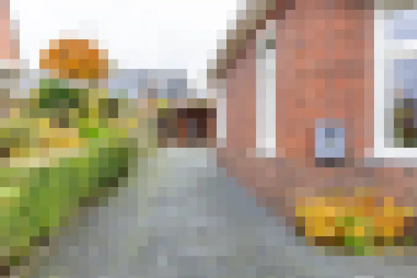 Kanaalstraat 48 Roden thumbnail 44