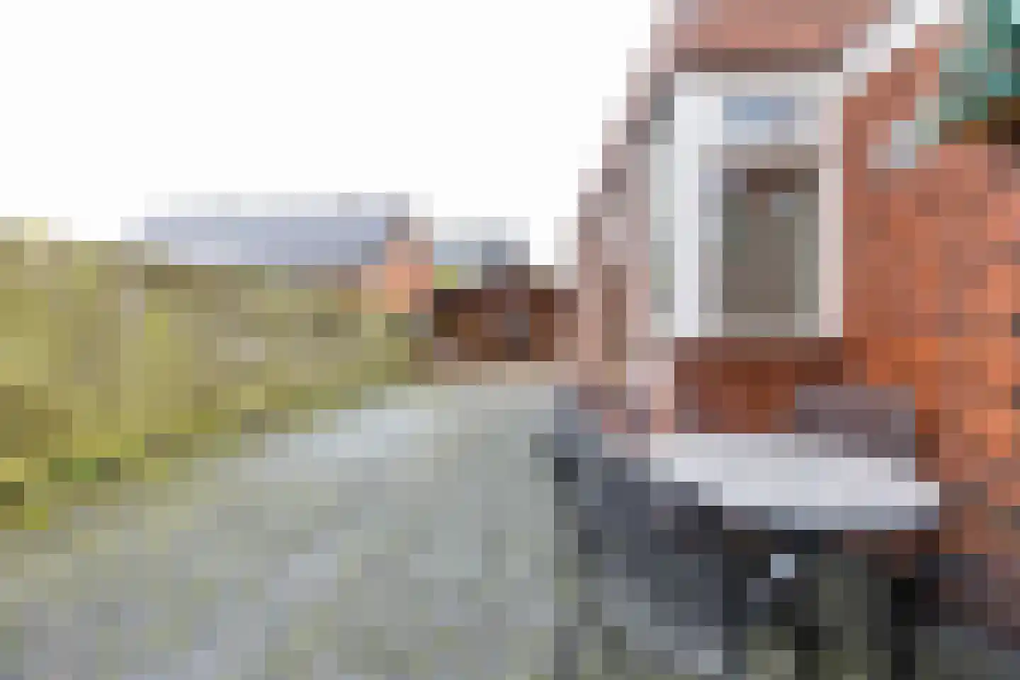 Kanaalstraat 48 Roden thumbnail 46