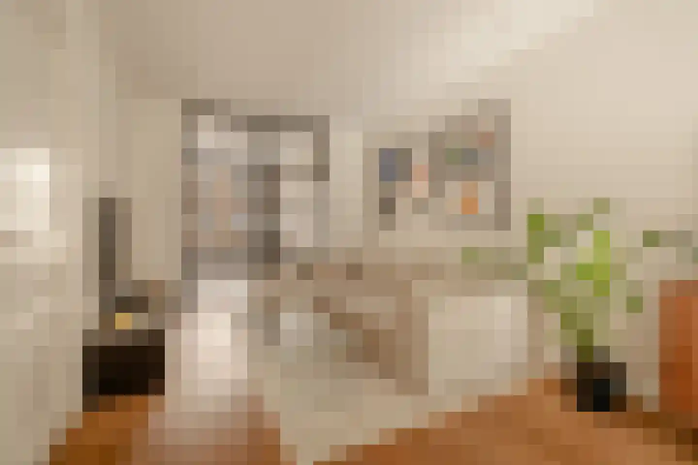 Kanaalstraat 49 H Amsterdam thumbnail 5