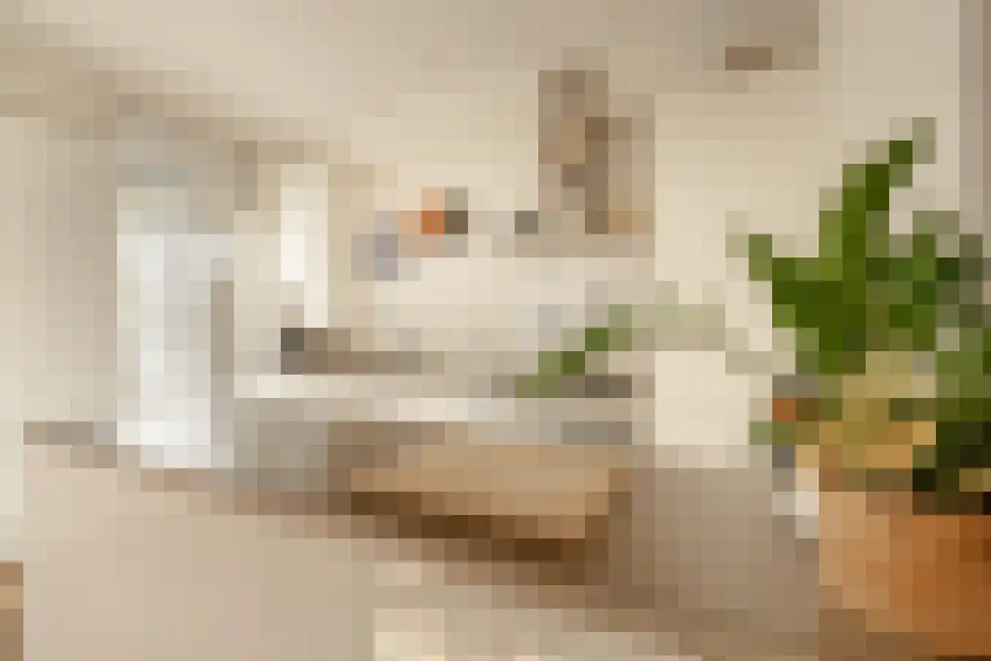 Kanaalstraat 49 H Amsterdam thumbnail 9