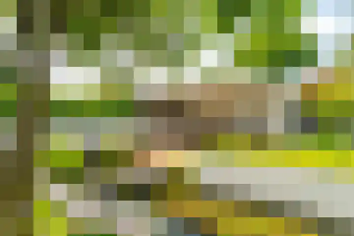 Kanaalstraat 50 in Schagen