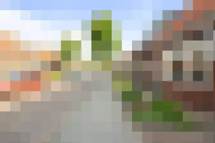 Kanaalstraat 50 Schagen thumbnail 21