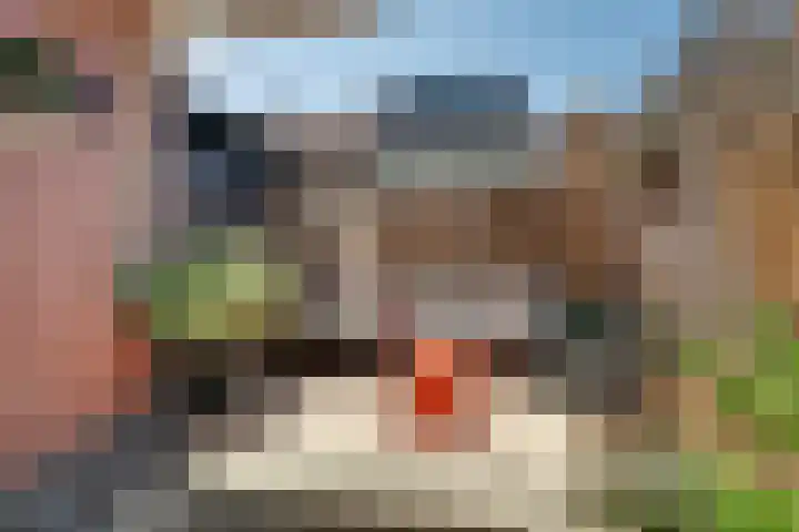 Kanaalstraat 53 Schagen thumbnail 19