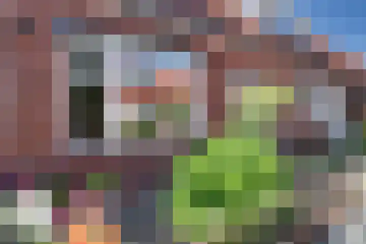 Kanaalstraat 53 Schagen thumbnail 4
