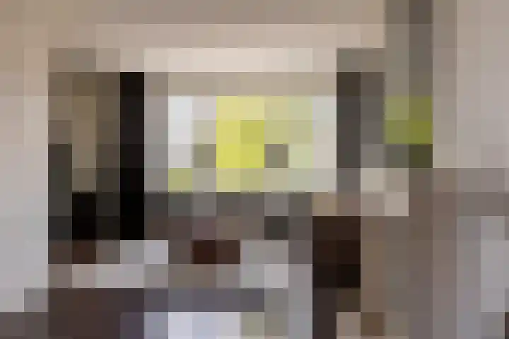 Kanaalstraat 6 Waddinxveen thumbnail 12