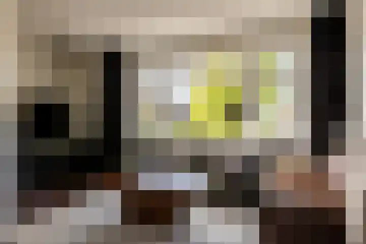 Kanaalstraat 6 Waddinxveen thumbnail 13
