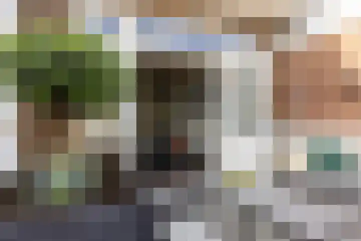 Kanaalstraat 6 Waddinxveen thumbnail 32