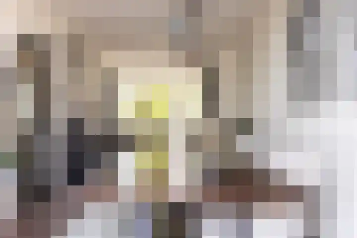 Kanaalstraat 6 Waddinxveen thumbnail 34