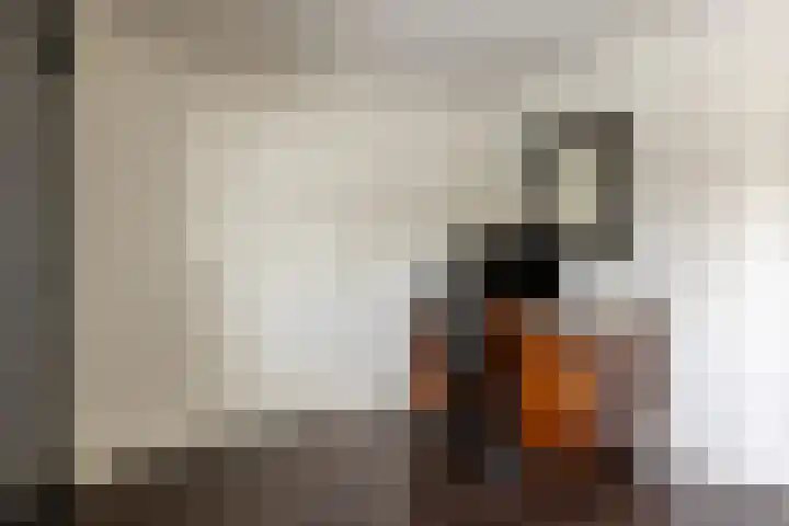 Kanaalstraat 6 Waddinxveen thumbnail 47