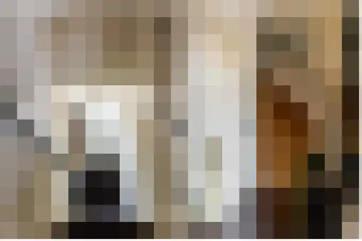 Kanaalstraat 6 Waddinxveen thumbnail 8