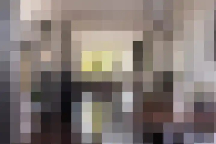 Kanaalstraat 6 Waddinxveen thumbnail 9