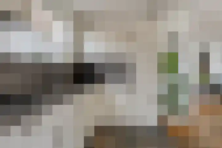Kanaalstraat 83 Dongen thumbnail 16