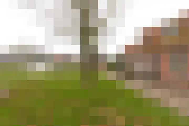 Kanaalstraat 9 Kommerzijl thumbnail 29