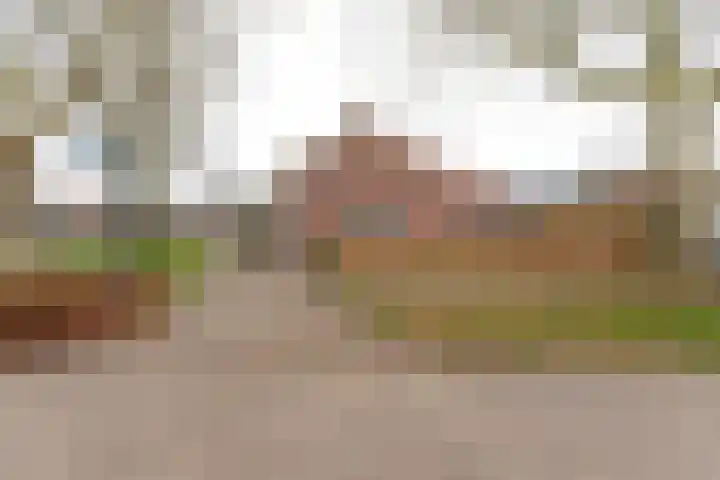 Kanaalstraat 9 Kommerzijl thumbnail 30