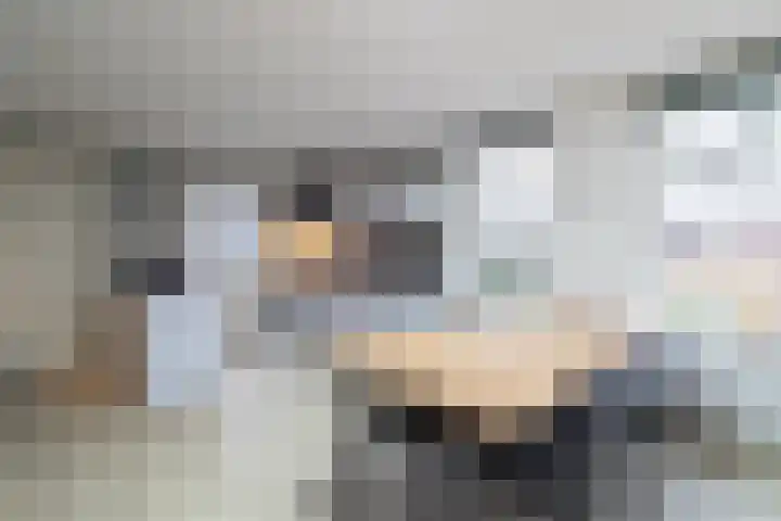 Kanaalstraat 9 Kommerzijl thumbnail 9
