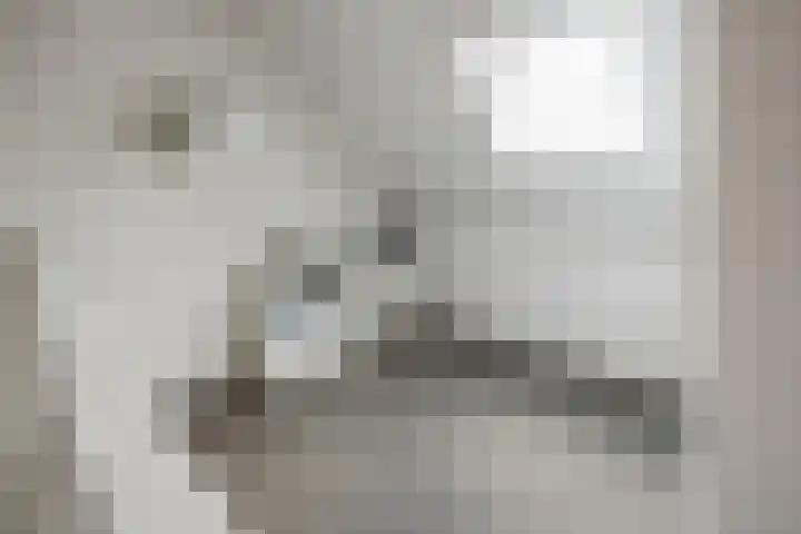 Kanaalstraat OZ 39 Raalte thumbnail 33