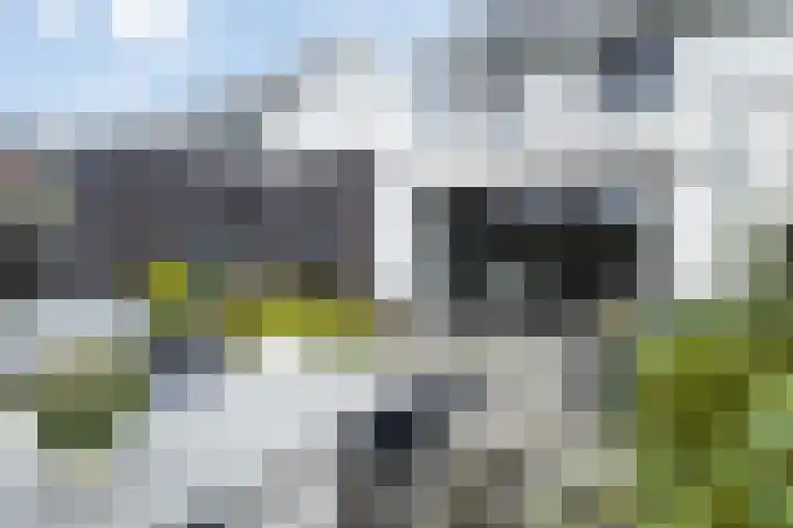 Kanaalstraat OZ 39 Raalte thumbnail 38