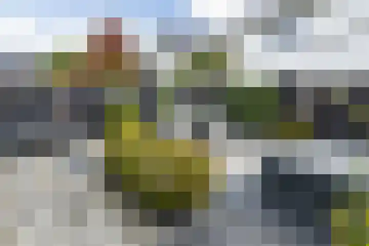 Kanaalstraat OZ 39 Raalte thumbnail 40