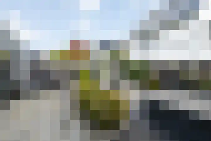 Kanaalstraat OZ 39 Raalte thumbnail 41