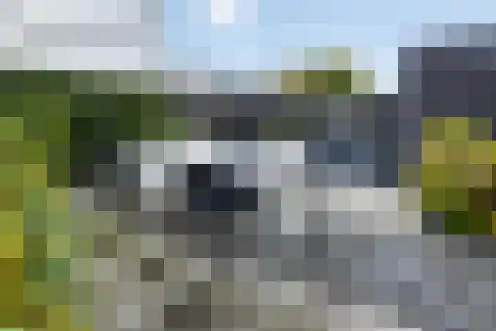 Kanaalstraat OZ 39 Raalte thumbnail 43