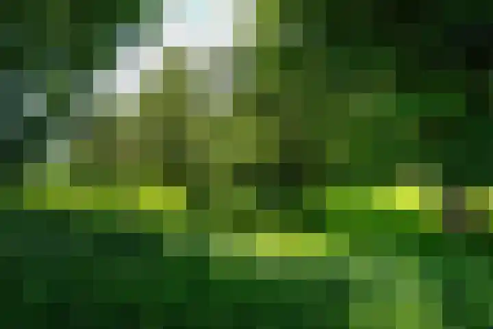 Kanaalsweg 1 Gersloot thumbnail 10