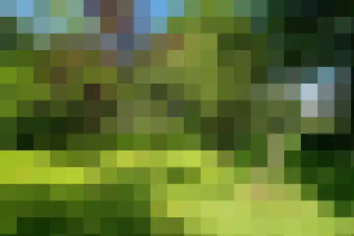 Kanaalsweg 1 Gersloot thumbnail 11