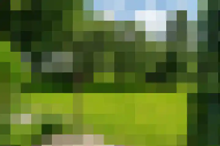 Kanaalsweg 1 Gersloot thumbnail 12