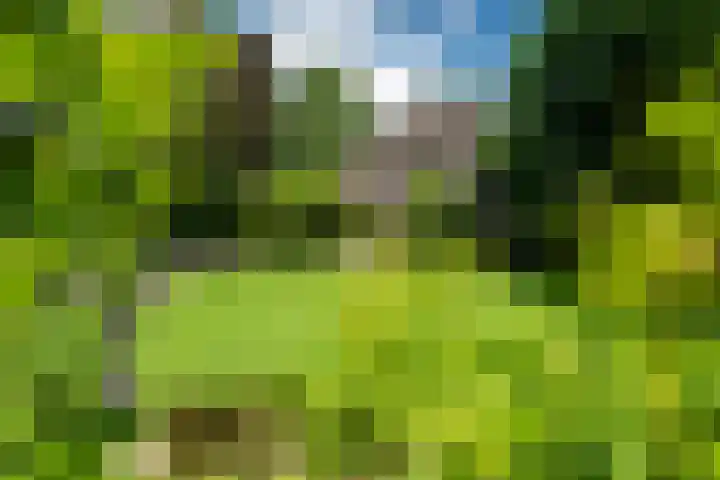 Kanaalsweg 1 Gersloot thumbnail 13