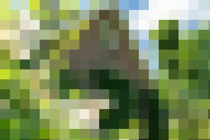 Kanaalsweg 1 Gersloot thumbnail 14