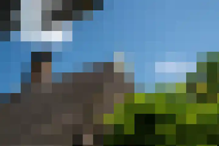 Kanaalsweg 1 Gersloot thumbnail 15