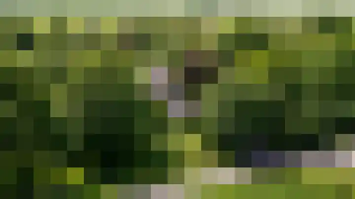 Kanaalsweg 1 Gersloot thumbnail 16