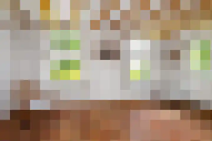 Kanaalsweg 1 Gersloot thumbnail 27