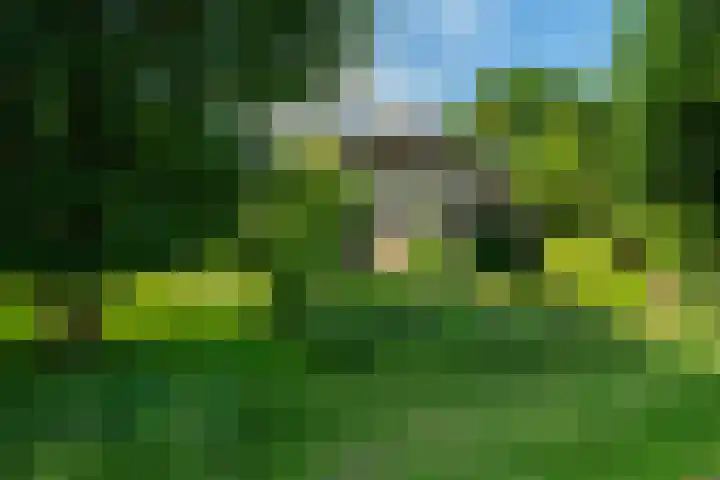 Kanaalsweg 1 Gersloot foto 3