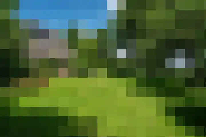 Kanaalsweg 1 Gersloot thumbnail 4