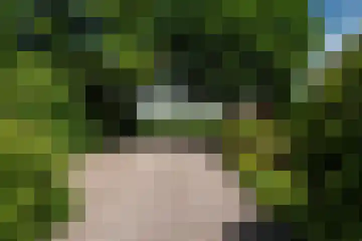 Kanaalsweg 1 Gersloot thumbnail 45