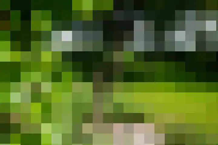Kanaalsweg 1 Gersloot thumbnail 47