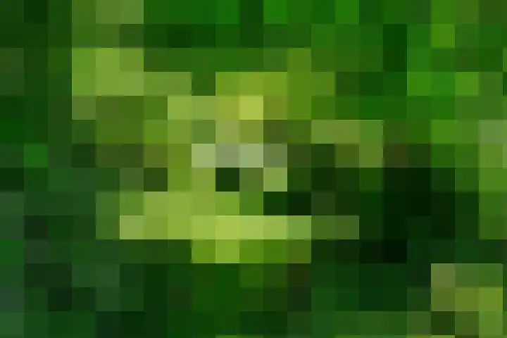 Kanaalsweg 1 Gersloot thumbnail 48