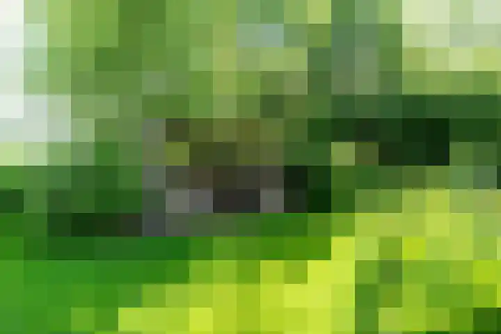 Kanaalsweg 1 Gersloot thumbnail 49