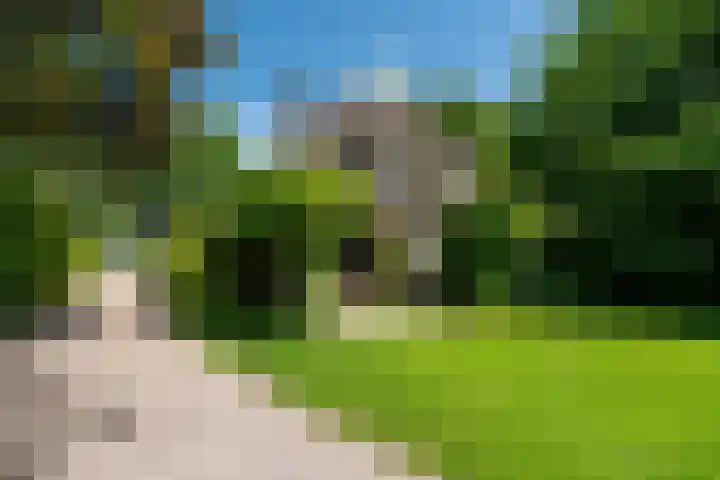 Kanaalsweg 1 Gersloot thumbnail 5