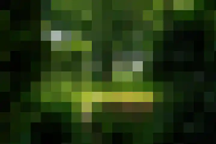 Kanaalsweg 1 Gersloot thumbnail 50