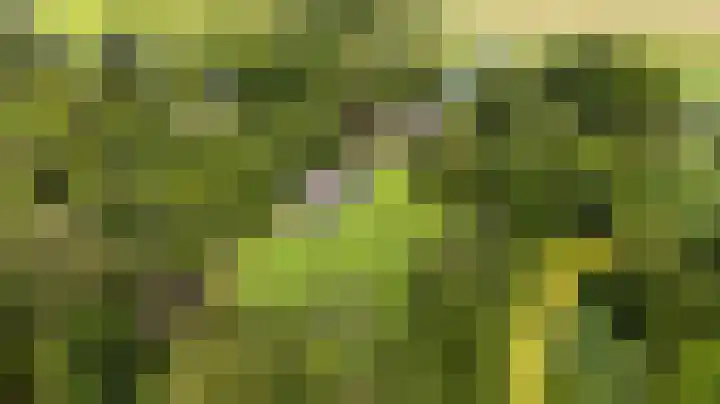 Kanaalsweg 1 Gersloot thumbnail 51
