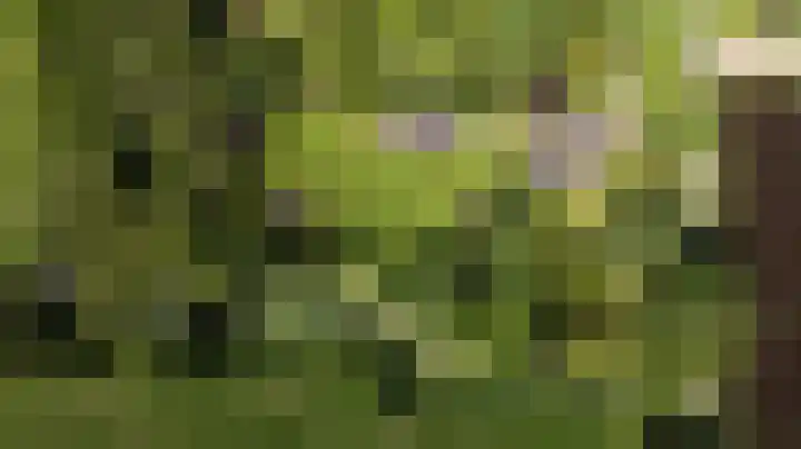 Kanaalsweg 1 Gersloot thumbnail 52